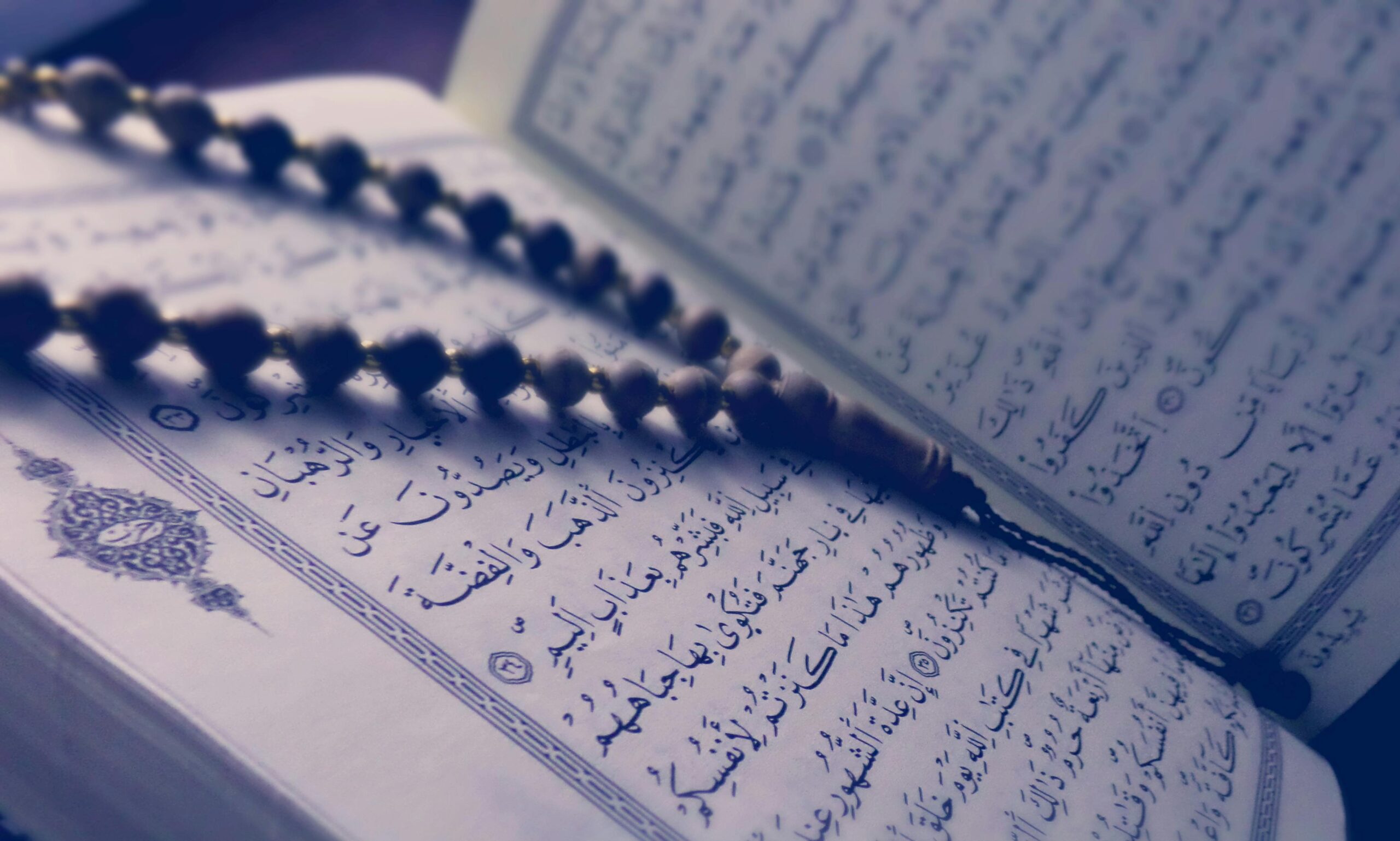 Learn Quran online